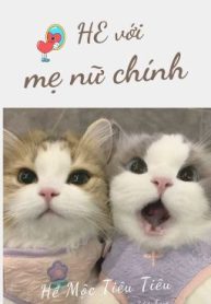 bhtt-edit-hoan-he-voi-me-nu-chinh-he-moc-tieu-tieu-374650892